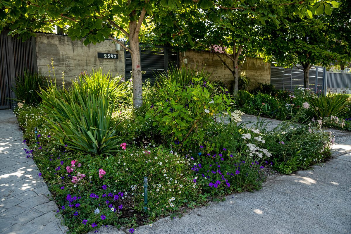 Jardín de flores y especies ornamentales en entrada de vivienda
